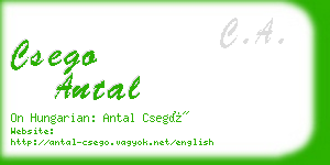 csego antal business card